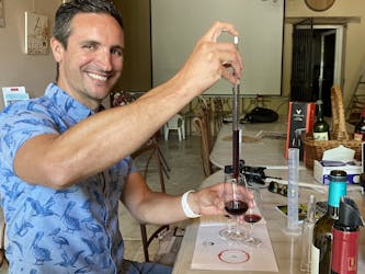 Visite privée et dégustation de vin à Saint-Emilion
